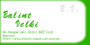 balint velki business card